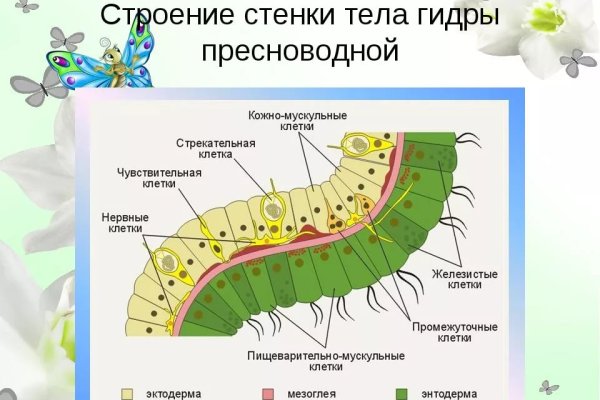 Кракен маркет даркнет слушать