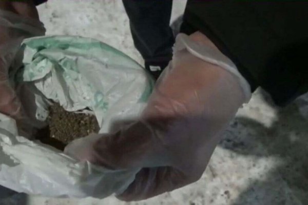 Купить наркоту