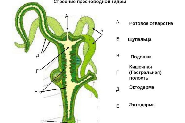 Доступ кракен