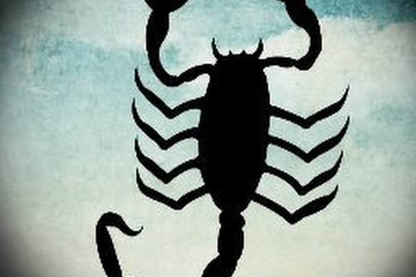 Www kraken 20at net