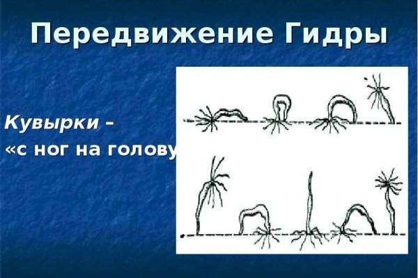 Сайт мега кракен