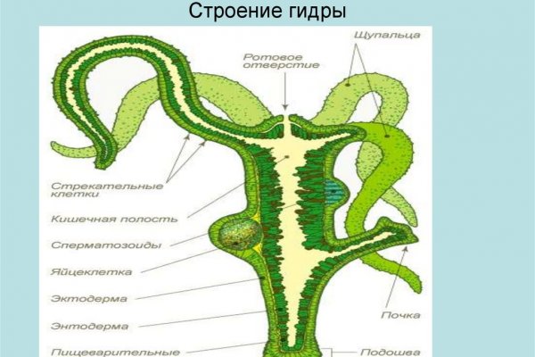 Кракен маркетплейс магазин