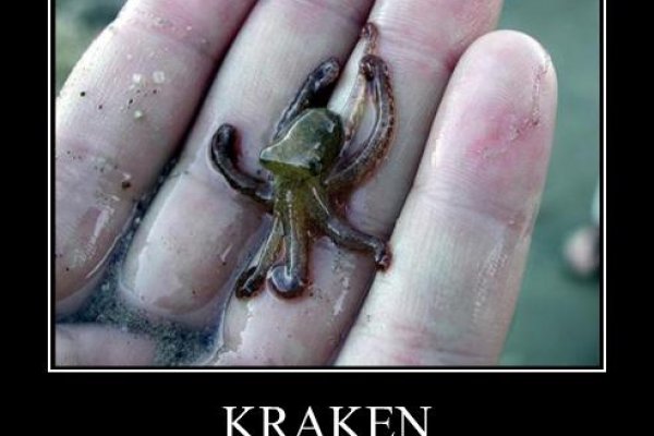 Как зайти на кракен в торе