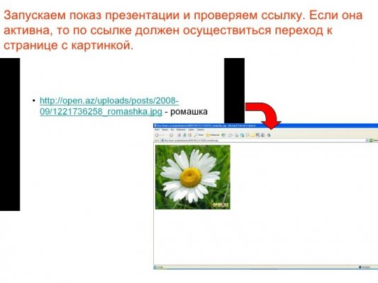 Почему не работает кракен