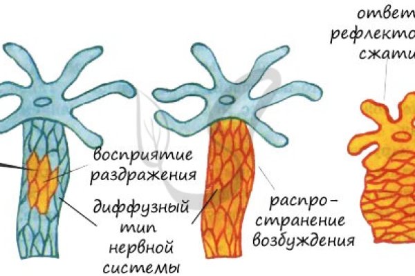 Кракен даркшоп